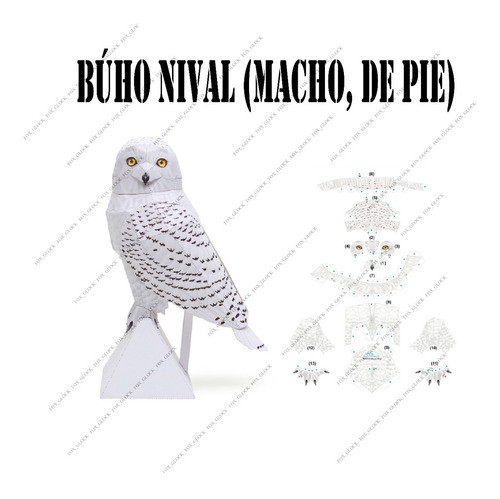 Búho Nival (macho, De Pie) Papercraft 0