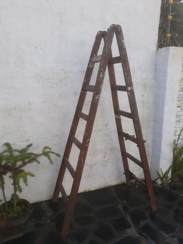 Escalera De Cedro Antigua Extensible. 0