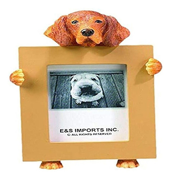 El Marco De Vizsla Tiene Tu Foto Favorita De 25 Por 35 Pulga 0