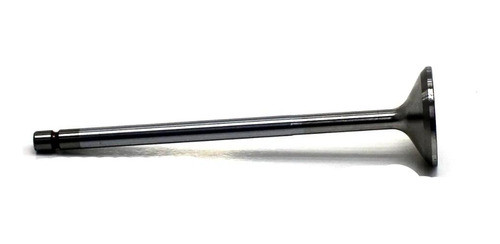 Valvula Admissao (unidade) Para Motor Maxion P4001/ Ms4.1t ( 0