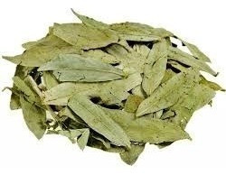 Sen Hojas (india)  X 1kg Totalmente Natural 1