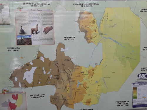 Mapa Mural Salta Físico/político 72x102 Varillado 0