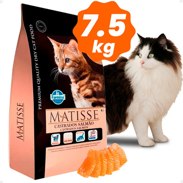 Matisse Gato Adulto Castrado Salmon 7.5 Kg + Regalo  Kubo 1