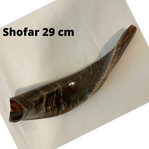 Shofar De Carnero. Entre 29 Y 33 Cm. 0