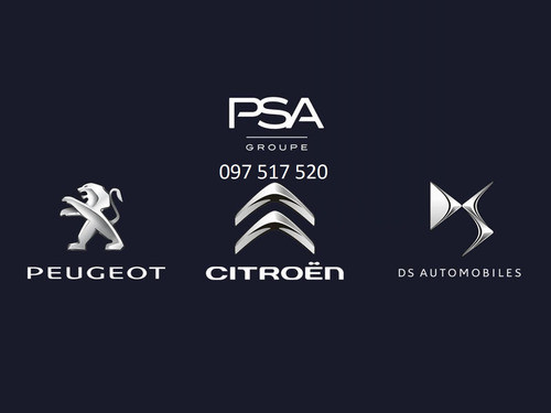 Kit Camisas Pistones Aros Importados Citroen Ax Saxo Bx Zx 1