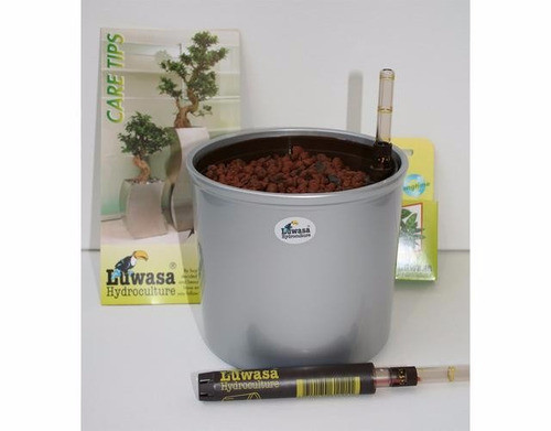 Maceta Hidroponia Kit Completo11cm X 9cm Regalo Empresarial 1