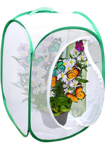 Hábitat Plegable De 60cm Para Criar Mariposas Y Otros Insect 0 Hábitat Plegable De 60cm Para Criar Mariposas Y Otros Insect 0