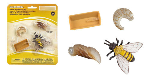Ciclo De Vida Abeja Juguete Safari Didactico Infantil Niño ® 0