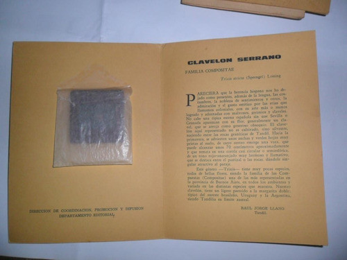 Clavelon Serrano  Flora Bonaerense Cientifica 1970 R J Llano 1