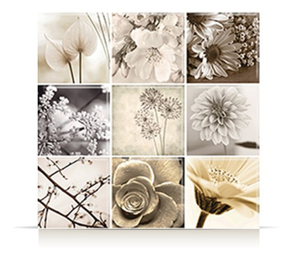 Malla De Vidrio Piu Black Flower 30x30 1ra 0