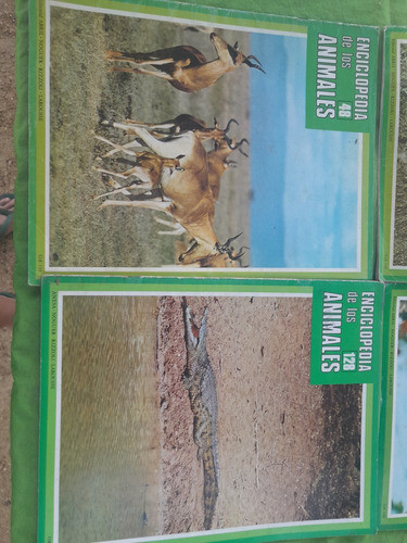 Lote 14 Fasciculos Enciclopedia De Los Animales 0