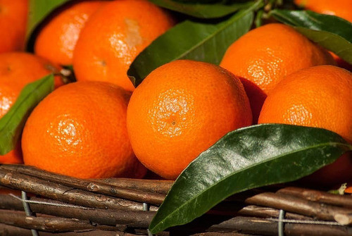 Aceite Esencial Mandarina Silce - Animémonos! 1