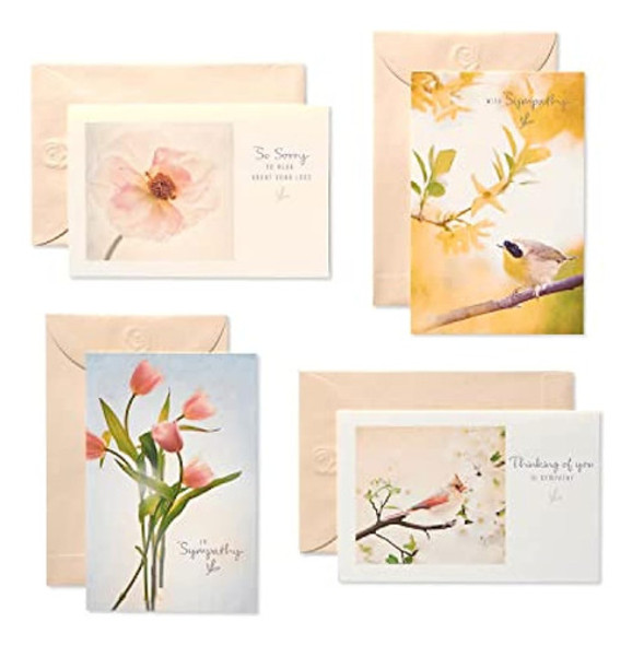 Surtido De Tarjetas De Condolencia De American Greetings, Na 0