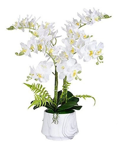 W&w Plantas Y Flores De Orquídeas Artificiales Con Jarrón, O 0
