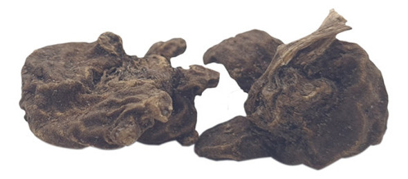 Set Siembre Semilla Bulbo De Anemona De Caen Maceta Y Turba 1