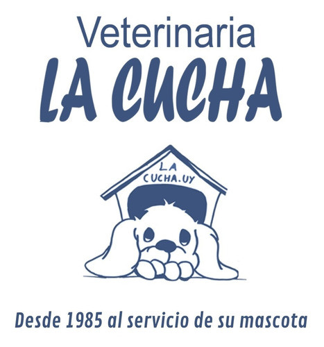 Racion Gatos Adulto Equilibrio 500 Grs + 2 Snack Deobsequio. 1