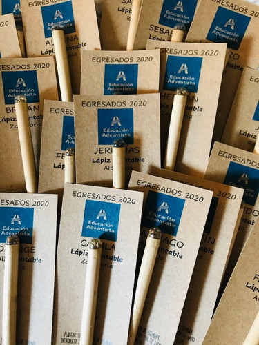 100 Lápiz Plantable Semilla Carton Personalizado Souvenir 1