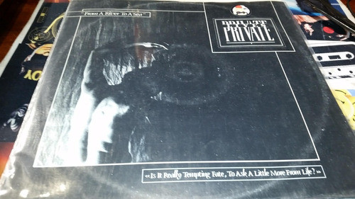 Private Lives From A River To A Sea Vinilo Maxi Temon Radial 0