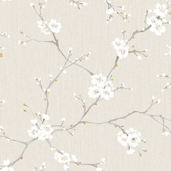 Papel Muresco Vinilico Viva La Casa 564/2 0