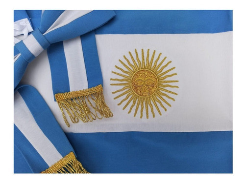 Bandera Bonaerense De Ceremonia Adulto Bordada Con Moño 1