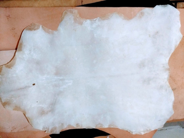 Cuero De Chivo Pelado Para Tientos O Parches Bombo 0