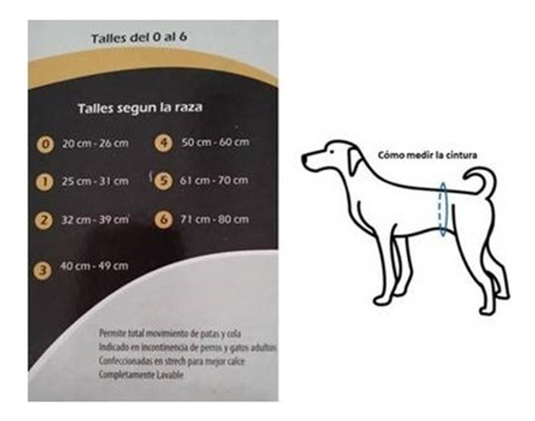 Bombacha Sanitaria Mascotas  Celo/ Incontinencia T4 1 Bombacha Sanitaria Mascotas  Celo/ Incontinencia T4 1