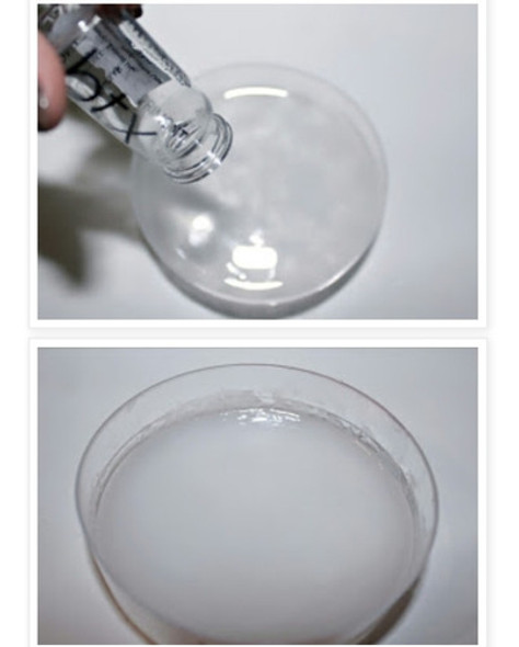 Ampolla Restauradora Capilar Btx Primont 1