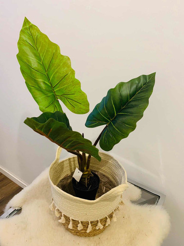 Planta Artificial Monstera Tipo Oreja De Elefante 60 Cms 1