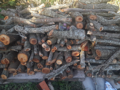 Leña, Astilla, Eucalipto Col, Acacia Neg, 500kg, Envios 0