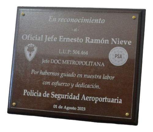 Placa:premio/homenaje/profesion Acrilico Sobre Madera20x15cm 0