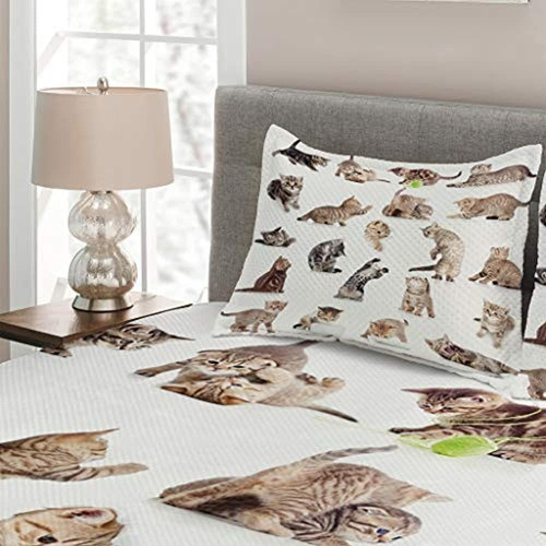 Lunarable Cat Coverlet Set Queen Size, Grupo De Divertidos G 0