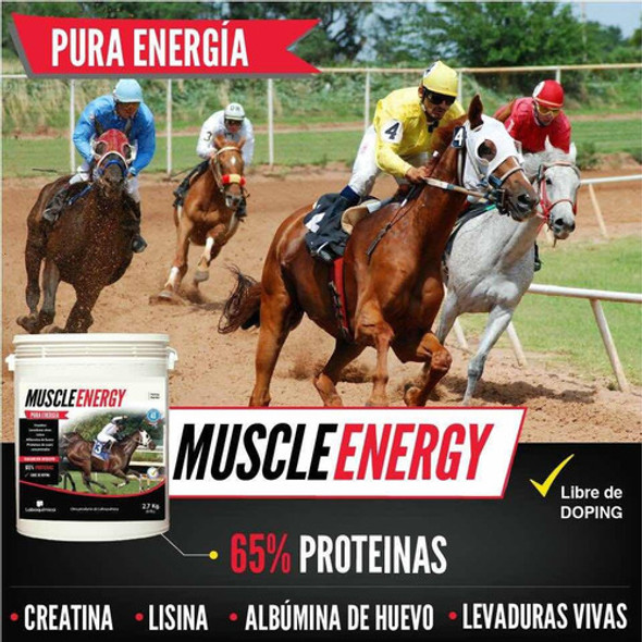 Muscle Energy Suplemento Muscular Y Energético + Envgratuito 1