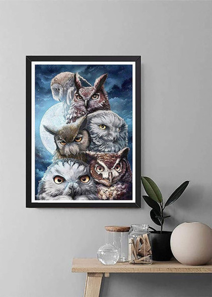 Kit De Pintura Con Diamantes 5d Buhos 40x50 Cm 1