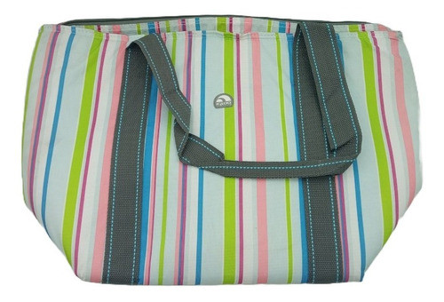 Bolso Termico Igloo C/ Asas Conservador Frio Calor Promo X2 0
