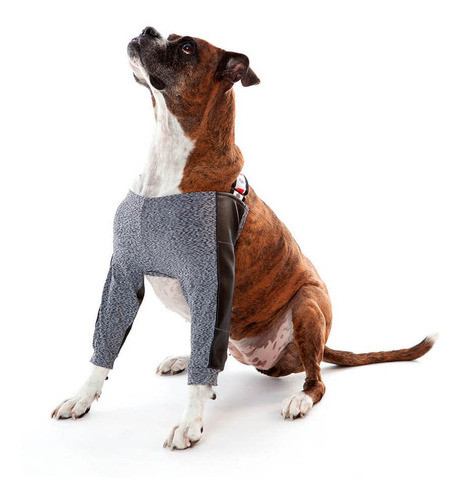 Roupa Protetora Higroma Cotoveleira Cachorro Cães Pet Med N6 1