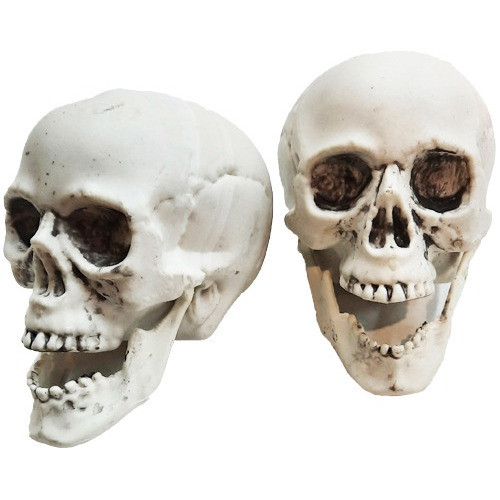 Calaveras Craneos 10 Cm. X 6 U. Decoración Fiesta Halloween 0