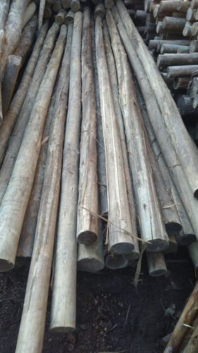 Postes/palos 7/9cm Diametro 3 Mts Curado 1