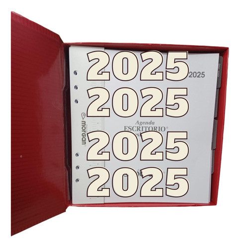 Repuesto Agenda Morgan Escritorio 2024 Diario Completo 21x22 0