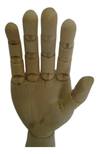 Mão Articulada Manequim 26cm Hand 1