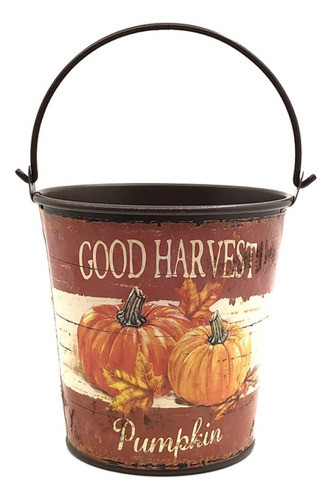 Balde Chapa Decorada- 1 Unidad- Universo Mágico 1