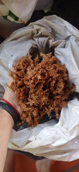Musgo Sphagnum Para Orquídeas Y Tutores 1kg 1