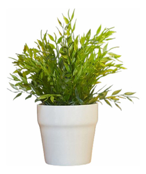 Planta Artificial Con Maceta De Ceramica Blanca 0