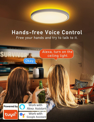 Smart Led Ceiling Light Fixture, Compatible With Alexa Goog. 1