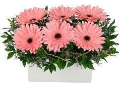 Arreglo De Gerberas, Entrega Sin Cargo Caba!! 0