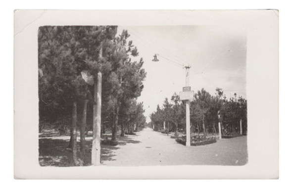 Rocha Antigua Postal Foto Real Parque Andresito La Paloma 0