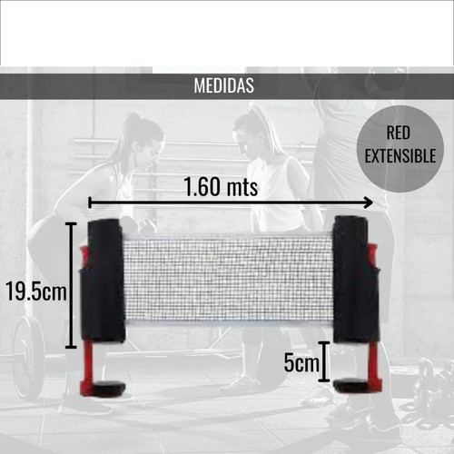 Red Ping Pong Profesional Ajustable Enrollable Retractil 1