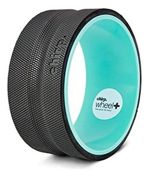 Foam Roller Para Alivio De Dolor De Espalda Terapia Muscular 0