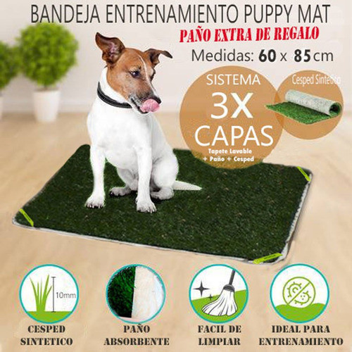 Bandeja Sanitaria Mascota Cesped Kit 60 X 85 Enrollable 1