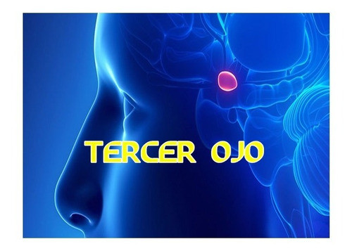 Activando El Tercer Ojo - Video Taller 0