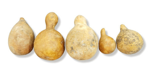 Cabaça - Porongo Mini (kit Com 5 Unidades.) 0